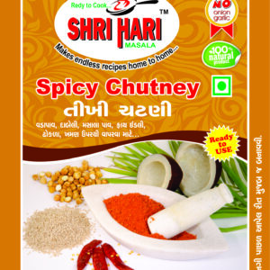 Spicy Chutney Masala